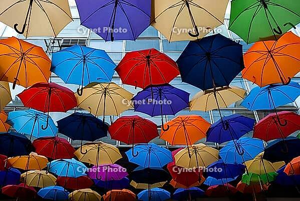Vibrant colorful umbrella installation against urban backdrop - artistic overhead display [IBR124626831]