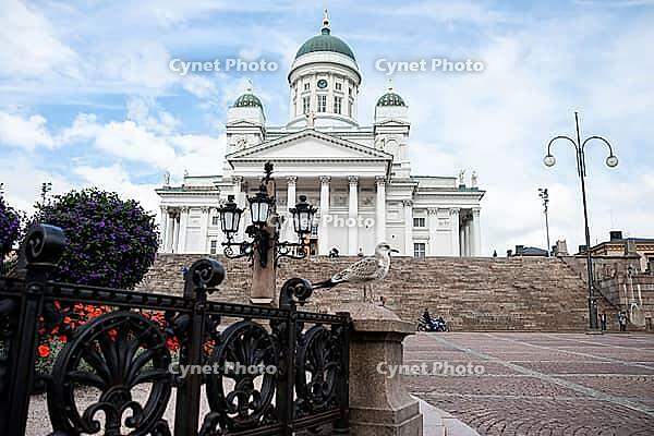 Helsinki, Finland - August 28, 2014 - Helsinki cathedral and seagull on a sunny day in finland [IBR124626856]