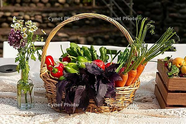 A wicker basket brimming with fresh vegetables like carrots, peppers, and greens sits on a table outdoors. nearby, a small vase holds wildflowers, creating a rustic and vibrant scene [IBR124626885]