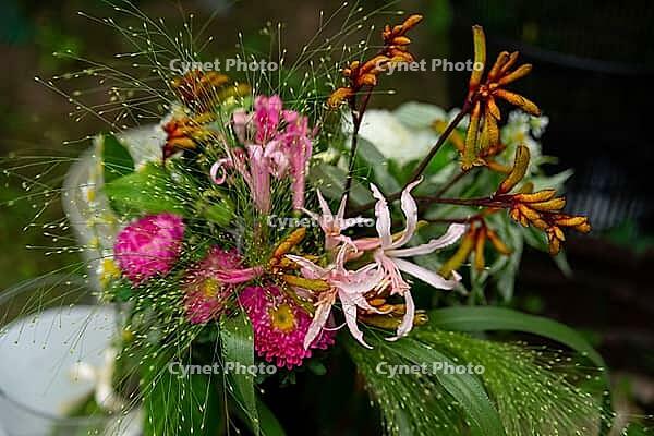 A lush floral arrangement showcasing a variety of colorful blooms and greenery. this vibrant display beauty of nature with its rich and diverse textures [IBR124626919]