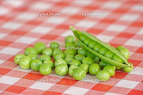 Peas (Pisum sativum) on a tablecloth, Loureira, Leiria district, Centro region, Portugal [IBR124629041]