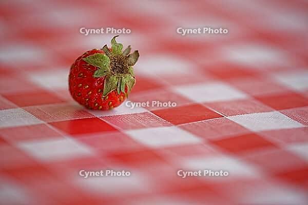 Strawberry (Fragaria) on a tablecloth, Loureira, Leiria district, Centro region, Portugal [IBR124629043]