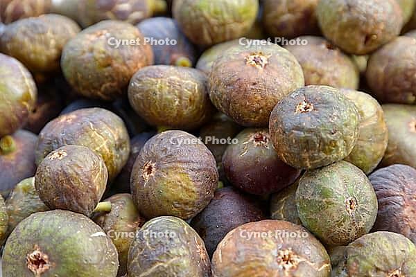 Fresh figs (Ficus carica), Loureira, Leiria district, Regiao do Centro, Portugal [IBR124629114]
