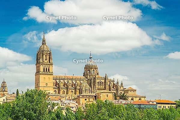 Cathedral of Salamanca and Green Trees on Sunny Day. Blue Sky with Clouds. Old Town, Spain [IBR124629120]