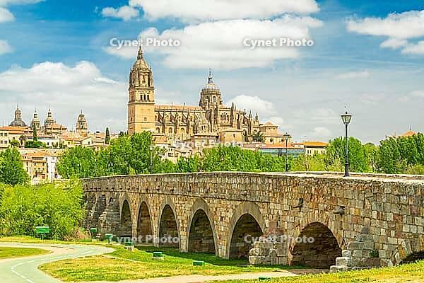 Cathedral of Salamanca, Green Trees and Roman Bridge on Sunny Day. Blue Sky with Clouds. Old Town, Spain [IBR124629121]