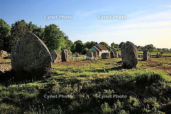 This atmospheric picture shows the famous stone rows of Carnac in Brittany. Numerous Neolithic menhirs rise from the grass and lead the eye to a characteristic stone house. The low sun bathes the scene in golden light and accentuates the rough granite tex [IBR124629128]