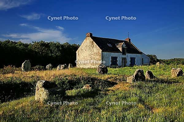 This atmospheric picture shows the famous stone rows of Carnac in Brittany. Numerous Neolithic menhirs rise from the grass and lead the eye to a characteristic stone house. The low sun bathes the scene in golden light and accentuates the rough granite tex [IBR124629129]