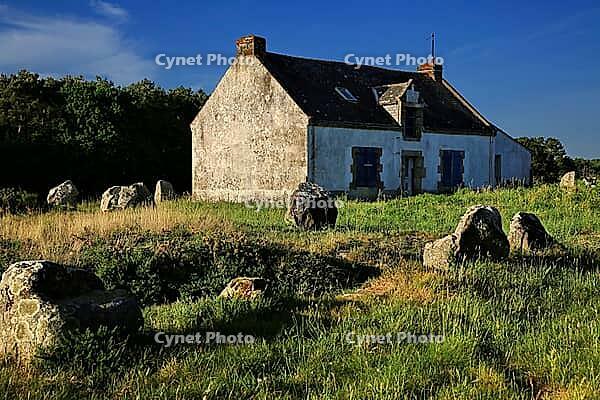 This atmospheric picture shows the famous stone rows of Carnac in Brittany. Numerous Neolithic menhirs rise from the grass and lead the eye to a characteristic stone house. The low sun bathes the scene in golden light and accentuates the rough granite tex [IBR124629130]