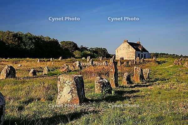 This atmospheric picture shows the famous stone rows of Carnac in Brittany. Numerous Neolithic menhirs rise from the grass and lead the eye to a characteristic stone house. The low sun bathes the scene in golden light and accentuates the rough granite tex [IBR124629131]