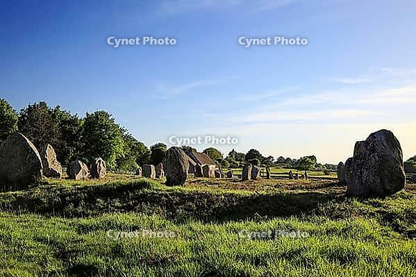 This atmospheric picture shows the famous stone rows of Carnac in Brittany. Numerous Neolithic menhirs rise from the grass and lead the eye to a characteristic stone house. The low sun bathes the scene in golden light and accentuates the rough granite tex [IBR124629132]
