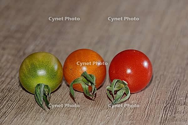 Cocktail tomatoes (Solanum), Kempen, North Rhine-Westphalia, Germany [IBR124629550]
