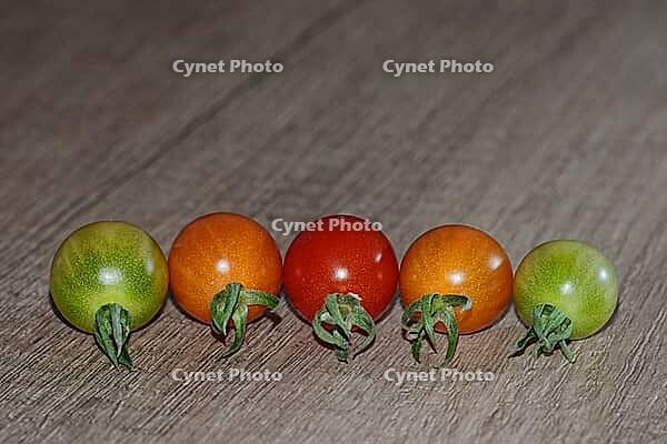 Cocktail tomatoes (Solanum), Kempen, North Rhine-Westphalia, Germany [IBR124629551]