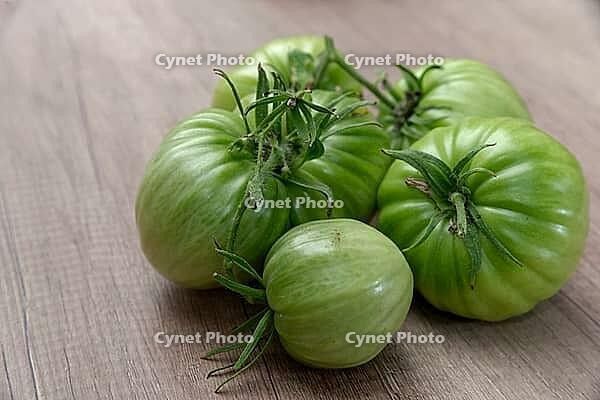 Unripe, green beefsteak tomatoes (Solanum lycopersicum), Kempen, North Rhine-Westphalia, Germany [IBR124629558]