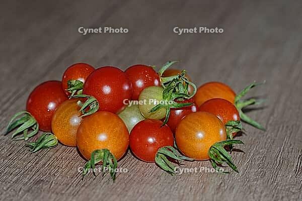 Cocktail tomatoes (Solanum), Kempen, North Rhine-Westphalia, Germany [IBR124629560]