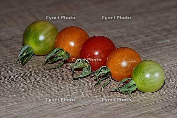 Cocktail tomatoes (Solanum), Kempen, North Rhine-Westphalia, Germany [IBR124629568]