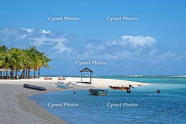 Palm tree, cloud, sky, sea, sandy beach, nature, umbrellas, Le Morne, Mauritius [IBR124629574]