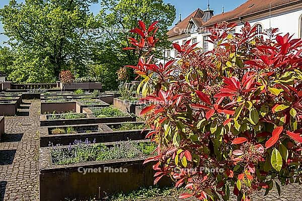 Roof garden with red ornamental shrubs and historic building in Ettlingen, Baden-W$00FCrttemberg, Germany [IBR124631251]