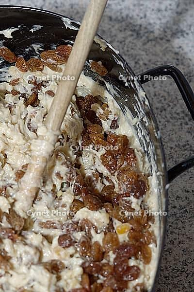 Dough mass with raisins for Christmas stollen, Krefeld, North Rhine-Westphalia, Germany [IBR124631266]