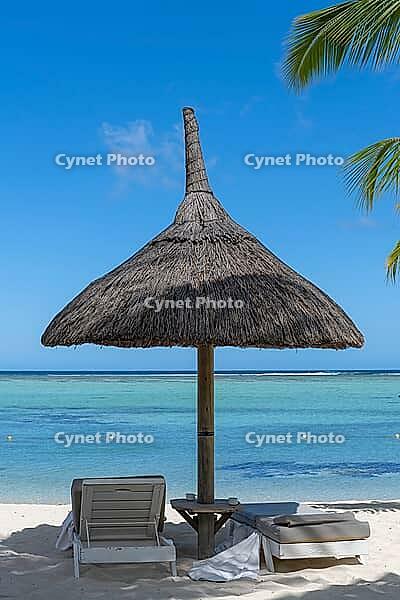 Palm tree, cloud, sky, sea, sandy beach, nature, umbrellas, Le Morne, Mauritius [IBR124631273]