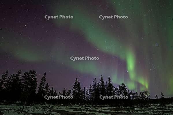Northern Lights (Aurora borealis), Muddus National Park, Laponia World Heritage Site, Norrbotten, Lapland, Sweden, October 2024 [IBR124636199]