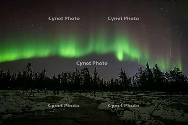 Northern Lights (Aurora borealis), Muddus National Park, Laponia World Heritage Site, Norrbotten, Lapland, Sweden, October 2024 [IBR124636204]