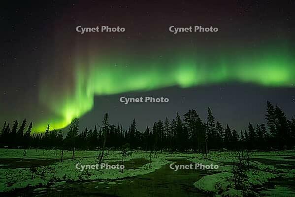 Northern Lights (Aurora borealis), Muddus National Park, Laponia World Heritage Site, Norrbotten, Lapland, Sweden, October 2024 [IBR124636205]
