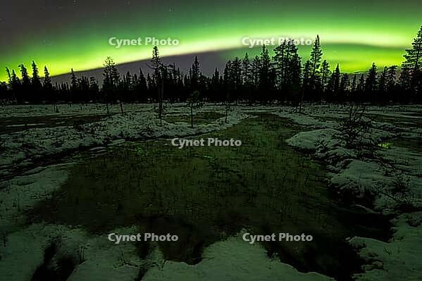 Northern Lights (Aurora borealis), Muddus National Park, Laponia World Heritage Site, Norrbotten, Lapland, Sweden, October 2024 [IBR124636211]