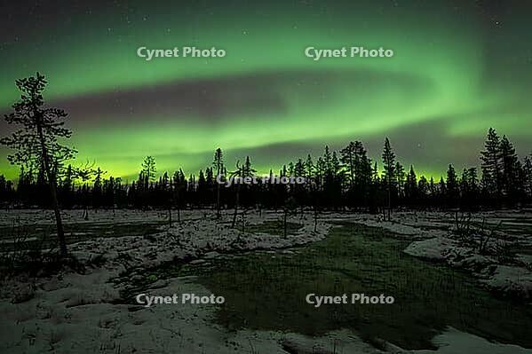 Northern Lights (Aurora borealis), Muddus National Park, Laponia World Heritage Site, Norrbotten, Lapland, Sweden, October 2024 [IBR124636212]