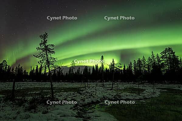 Northern Lights (Aurora borealis), Muddus National Park, Laponia World Heritage Site, Norrbotten, Lapland, Sweden, October 2024 [IBR124636213]