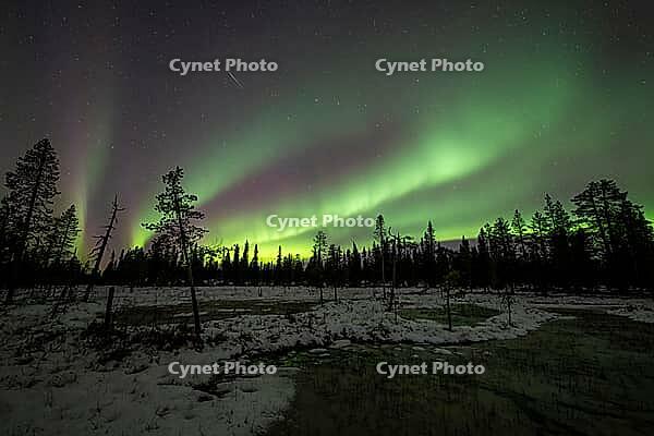 Northern Lights (Aurora borealis), Muddus National Park, Laponia World Heritage Site, Norrbotten, Lapland, Sweden, October 2024 [IBR124636215]