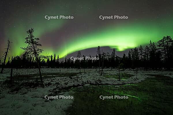 Northern Lights (Aurora borealis), Muddus National Park, Laponia World Heritage Site, Norrbotten, Lapland, Sweden, October 2024 [IBR124636217]