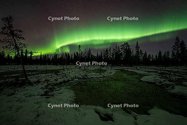 Northern Lights (Aurora borealis), Muddus National Park, Laponia World Heritage Site, Norrbotten, Lapland, Sweden, October 2024 [IBR124636218]