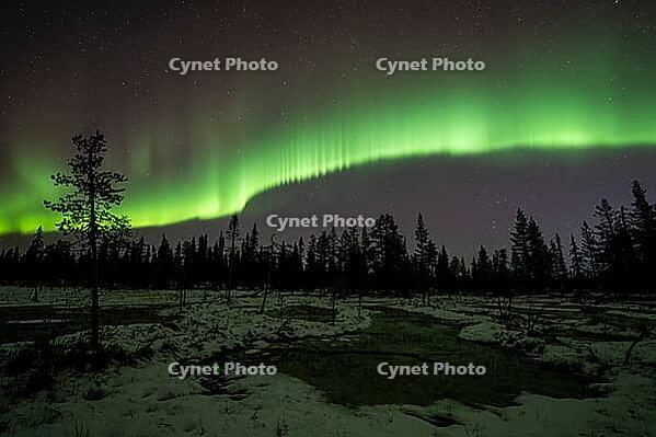 Northern Lights (Aurora borealis), Muddus National Park, Laponia World Heritage Site, Norrbotten, Lapland, Sweden, October 2024 [IBR124636219]
