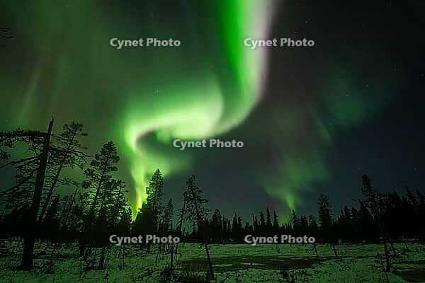 Northern Lights (Aurora borealis), Muddus National Park, Laponia World Heritage Site, Norrbotten, Lapland, Sweden, October 2024 [IBR124636224]