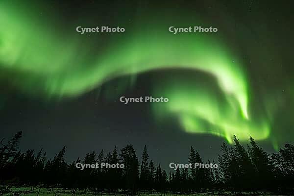 Northern Lights (Aurora borealis), Muddus National Park, Laponia World Heritage Site, Norrbotten, Lapland, Sweden, October 2024 [IBR124636226]