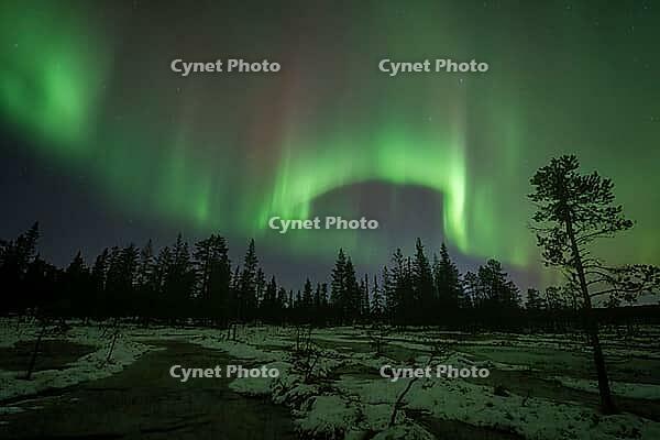 Northern Lights (Aurora borealis), Muddus National Park, Laponia World Heritage Site, Norrbotten, Lapland, Sweden, October 2024 [IBR124636229]