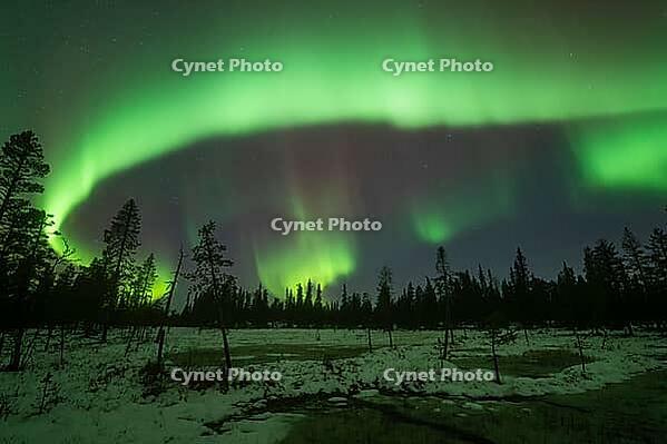 Northern Lights (Aurora borealis), Muddus National Park, Laponia World Heritage Site, Norrbotten, Lapland, Sweden, October 2024 [IBR124636231]