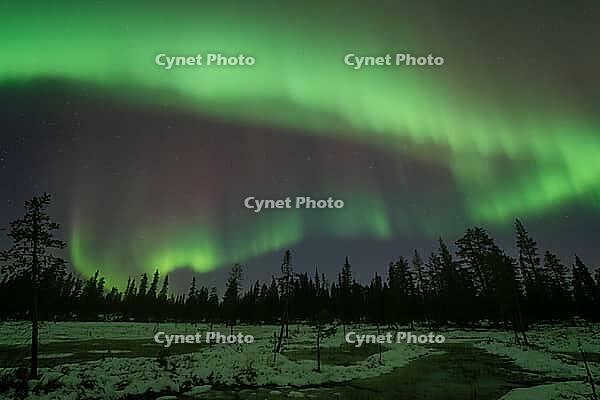 Northern Lights (Aurora borealis), Muddus National Park, Laponia World Heritage Site, Norrbotten, Lapland, Sweden, October 2024 [IBR124636232]