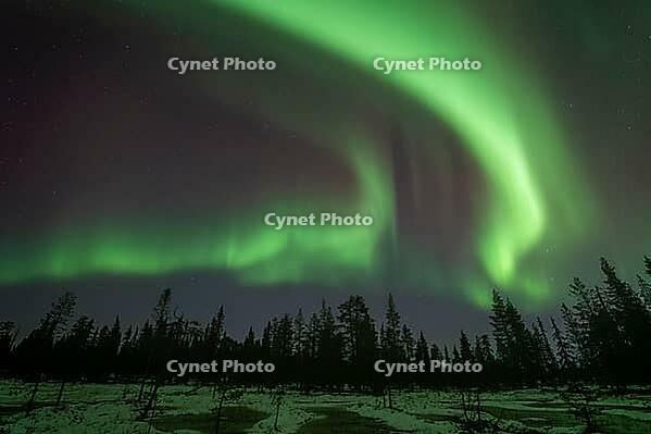 Northern Lights (Aurora borealis), Muddus National Park, Laponia World Heritage Site, Norrbotten, Lapland, Sweden, October 2024 [IBR124636236]