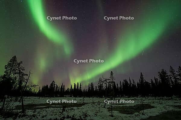 Northern Lights (Aurora borealis), Muddus National Park, Laponia World Heritage Site, Norrbotten, Lapland, Sweden, October 2024 [IBR124636245]