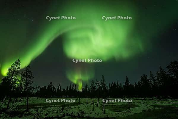 Northern Lights (Aurora borealis), Muddus National Park, Laponia World Heritage Site, Norrbotten, Lapland, Sweden, October 2024 [IBR124636249]