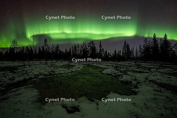 Northern Lights (Aurora borealis), Muddus National Park, Laponia World Heritage Site, Norrbotten, Lapland, Sweden, October 2024 [IBR124636254]