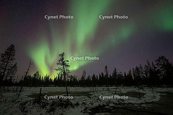Northern Lights (Aurora borealis), Muddus National Park, Laponia World Heritage Site, Norrbotten, Lapland, Sweden, October 2024 [IBR124636255]