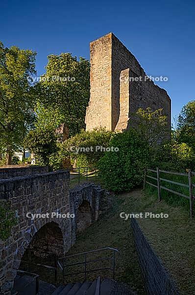 Zwinger der Burg Ruins of Hofen Castle, Mühlhausen am Neckar District, Stuttgart, Baden-Württemberg, Germany [IBR124636270]