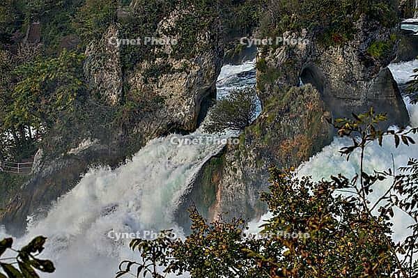 Rhine Falls in Neuhausen with rock formation in the middle of the waterfall, rock hills with hole above the water vortex, water masses flow whirled up and foaming around the rock, green scrub on the rock formation, river water flows around a rock, waterfa [IBR124636282]