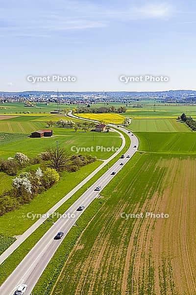 A country road runs through green fields under a clear blue sky, past blooming trees, Aidlingen, Böblingen district, Germany [IBR124642845]