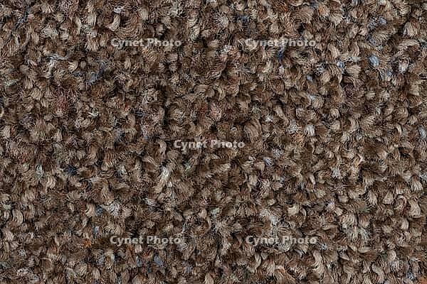 Closeup detail of brown carpet texture background [IBR124676059]