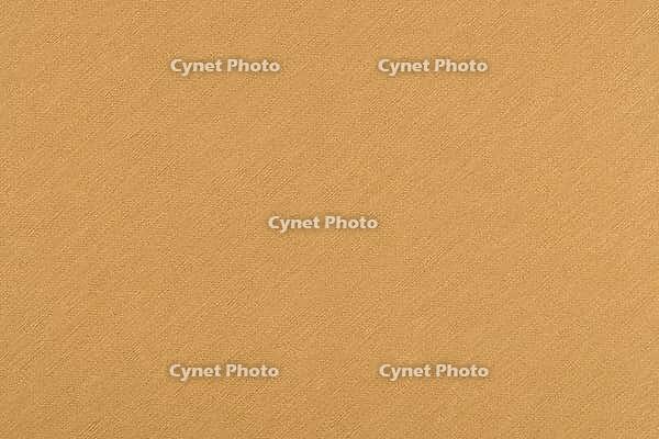 Embossed vinyl texture closeup texture background [IBR124676123]