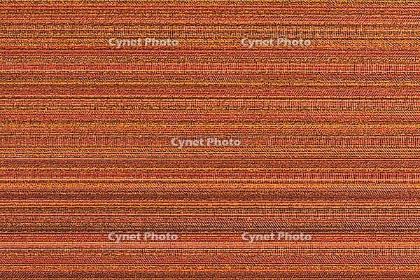 Embossed vinyl texture closeup texture background [IBR124676131]