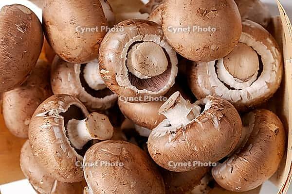 Fungus. Mushrooms on the table [IBR124724834]
